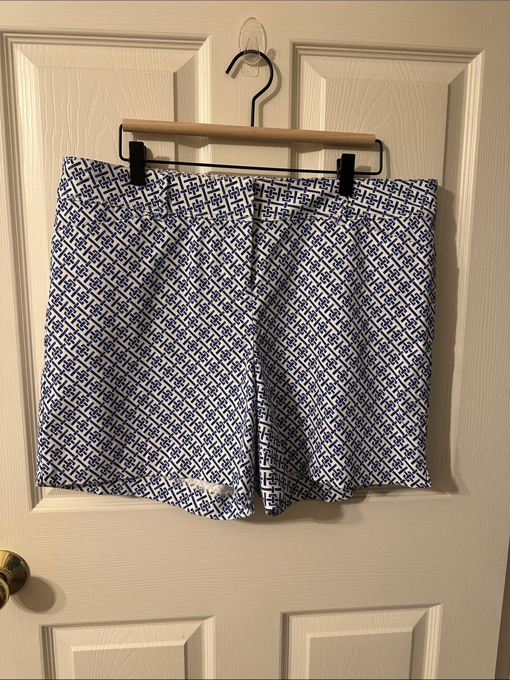 The Limited shorts